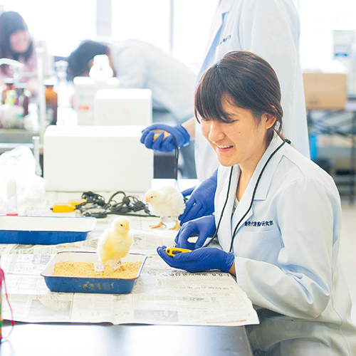 �w�Z�̓��F3