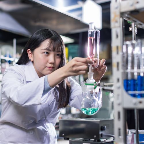 �w�Z�̓��F2