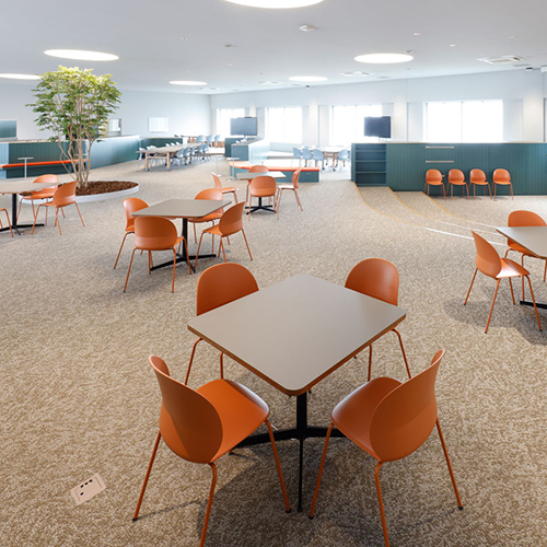 �w�Z�̓��F2