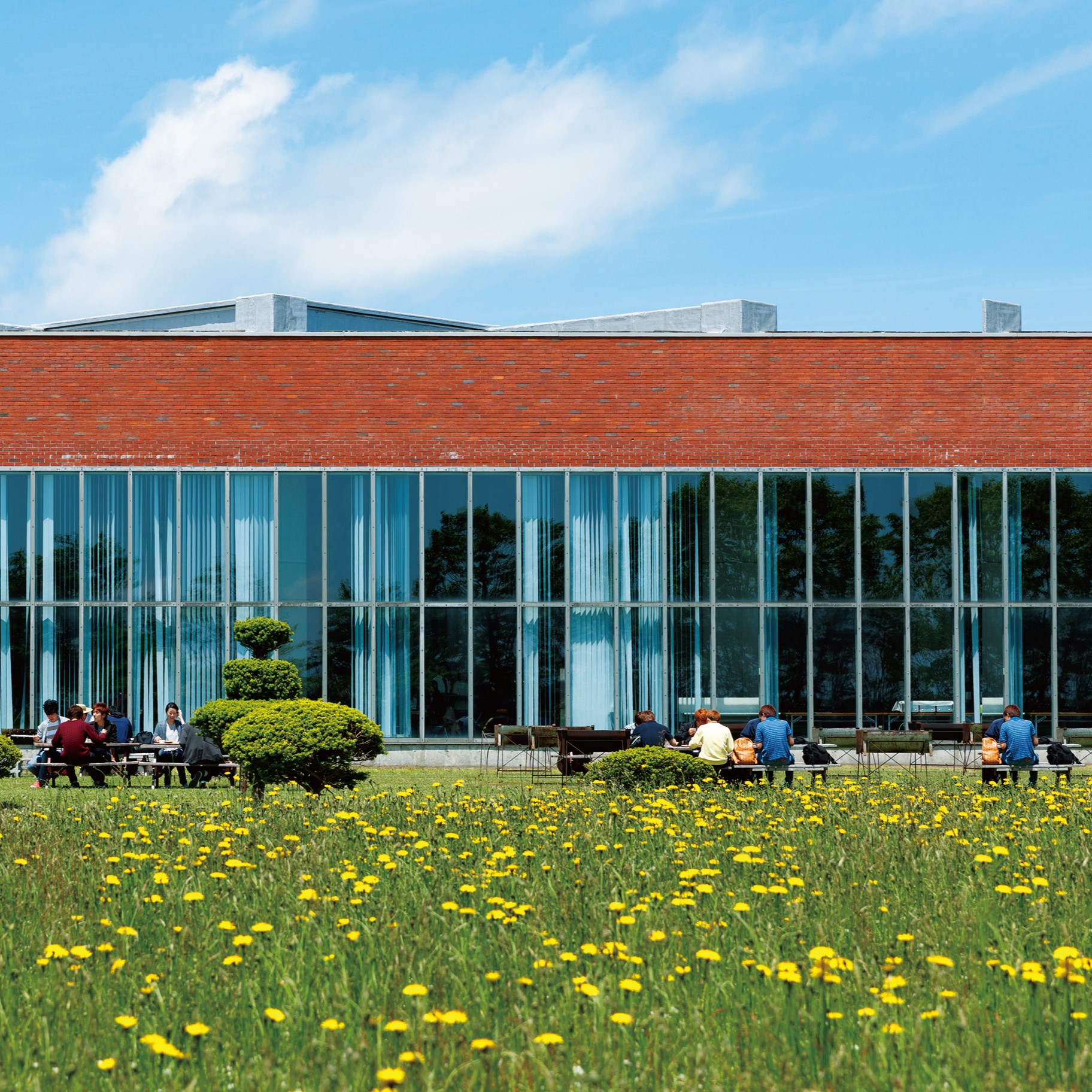 �w�Z�̓��F3