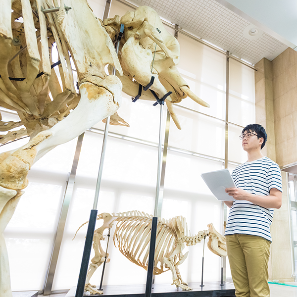 �w�Z�̓��F1