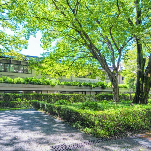 �w�Z�̓��F3