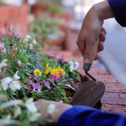 �w�Z�̓��F1