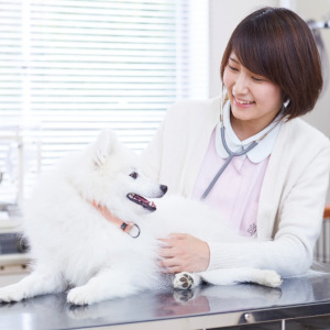 �w�Z�̓��F1