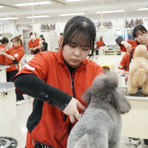 �w�Z�̓��F2