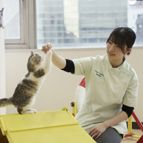 �w�Z�̓��F2