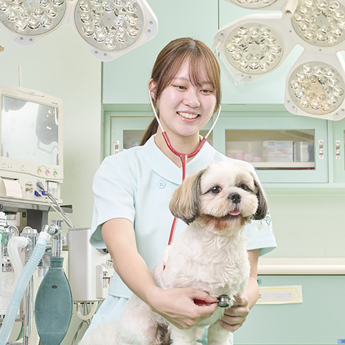 �w�Z�̓��F2