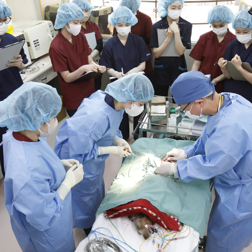 �w�Z�̓��F2