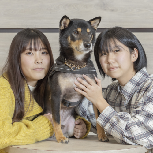 �w�Z�̓��F3