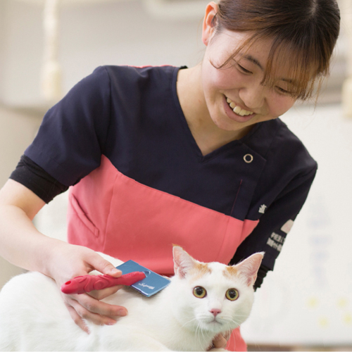 �w�Z�̓��F3