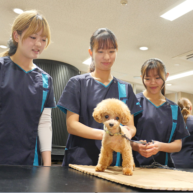 �w�Z�̓��F2