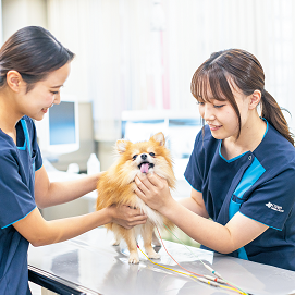 �w�Z�̓��F1