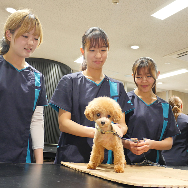 �w�Z�̓��F3