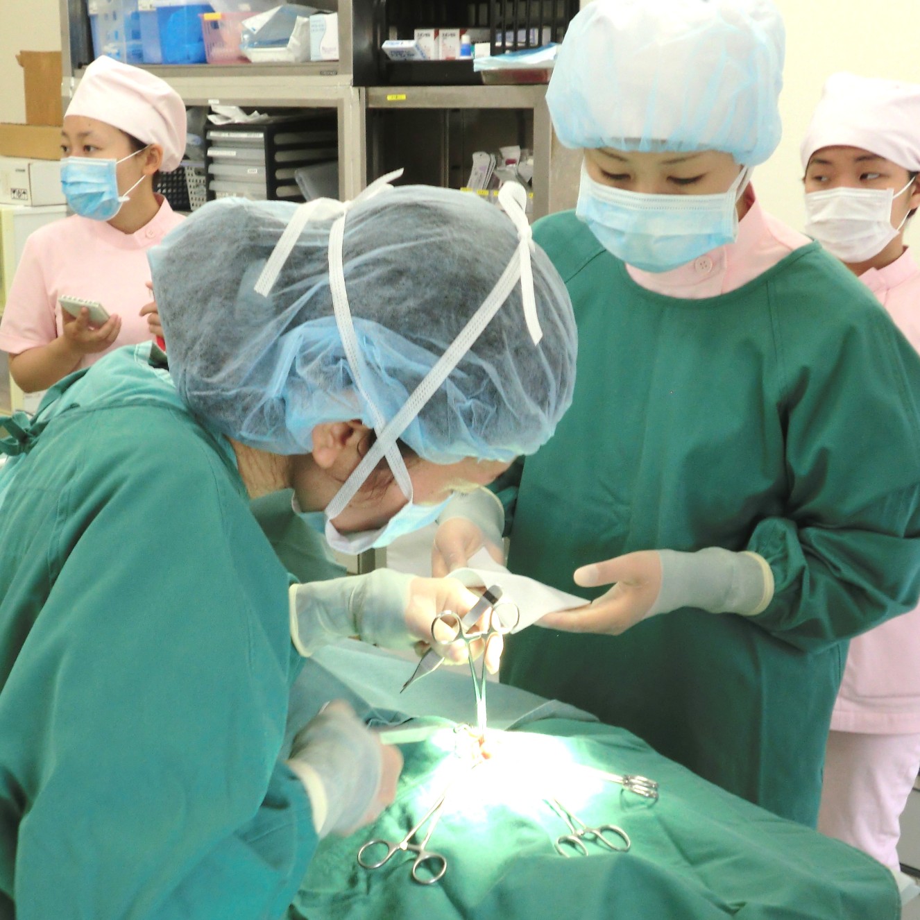 �w�Z�̓��F1