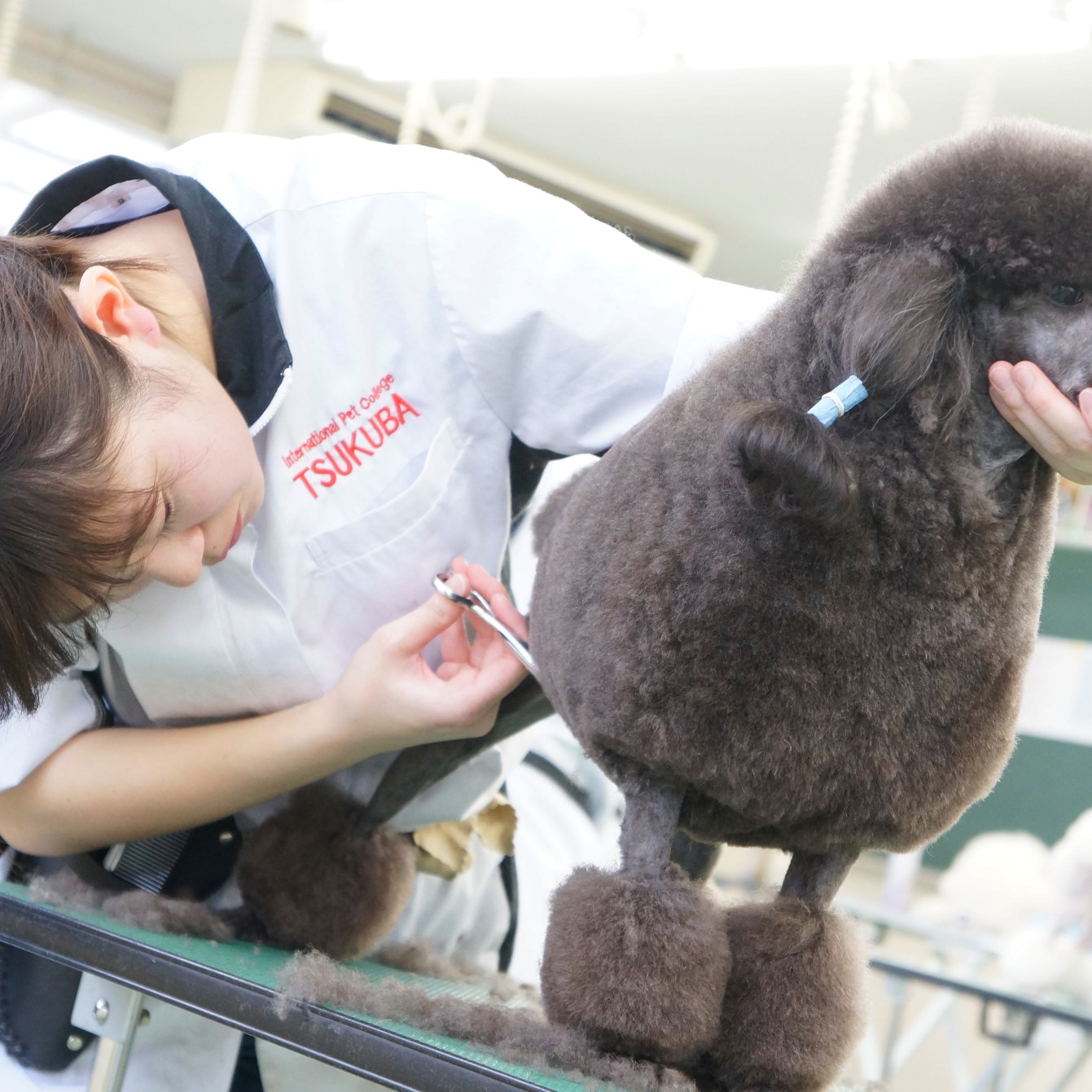 �w�Z�̓��F2