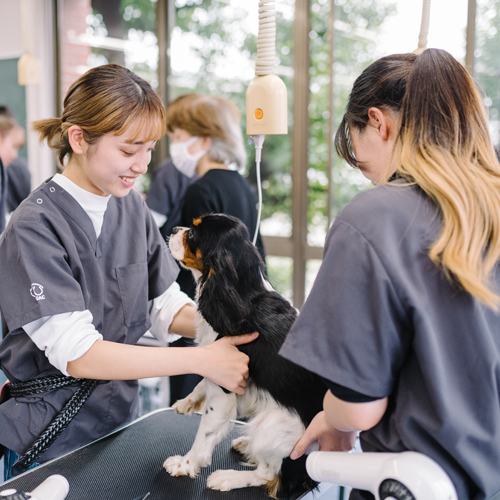 �w�Z�̓��F1