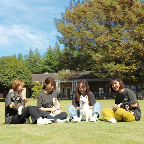 �w�Z�̓��F2