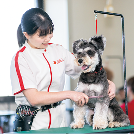 �w�Z�̓��F1