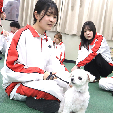 �w�Z�̓��F3