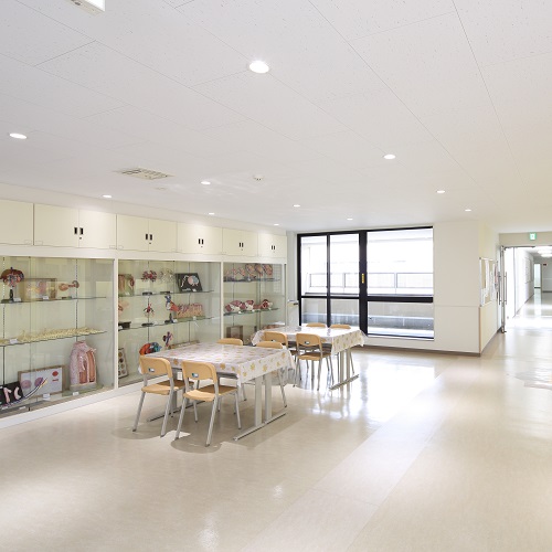 �w�Z�̓��F1