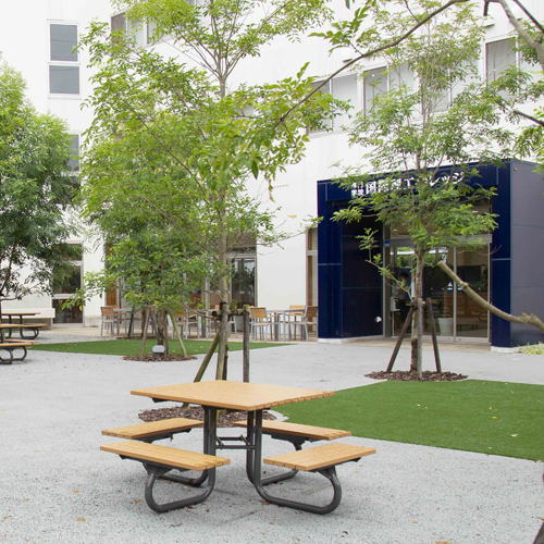 �w�Z�̓��F1