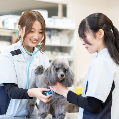 �y���ߓ����Ō�ȁz<br>�I�[�v���L�����p�X