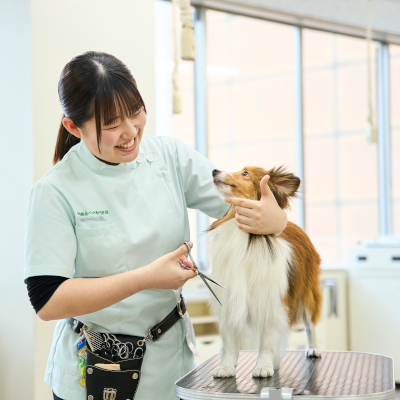 �y�g���}�[�ȃg���}�[��U�z<br>�I�[�v���L�����p�X