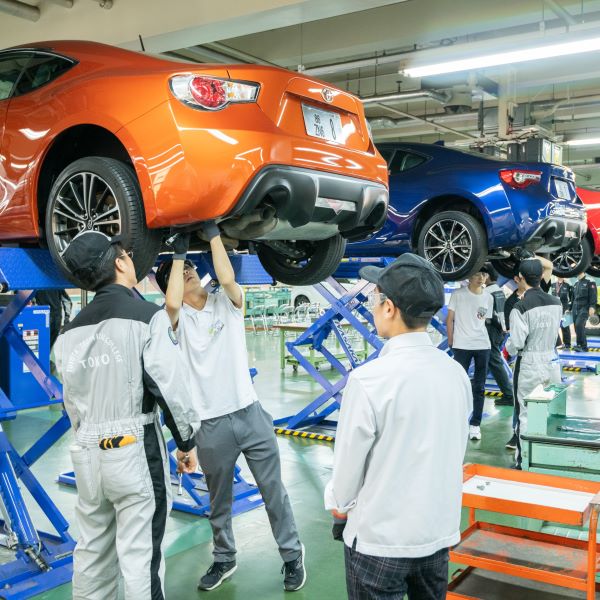 �Ă̑̌�����