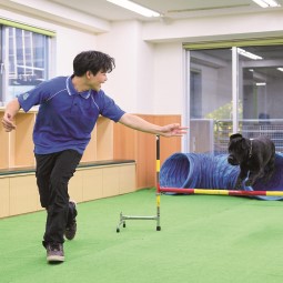 �w�Z������i�I�񂾊w�Ȃ�̌��ł�����j