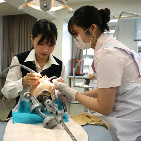 �I�[�v���L�����p�X�i�X�^���v�����[�^�j