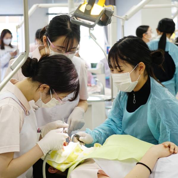 �I�[�v���L�����p�X�i���ƎQ���^�j