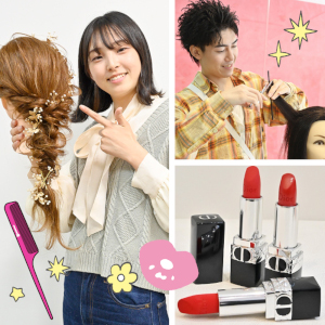 �y���Z������E�v�\��z<br>�I�ׂ���e���K��<br>