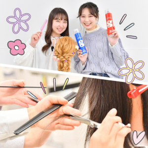 �y���Z������E�v�\��z<br>�I�ׂ���e���K��