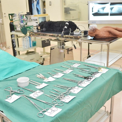 �u�����v�Ɂu�Ȃ���v<br>RiSEN�̃I�[�v���L�����p�X<br>�y���ߓ����Ō�w�ȁz