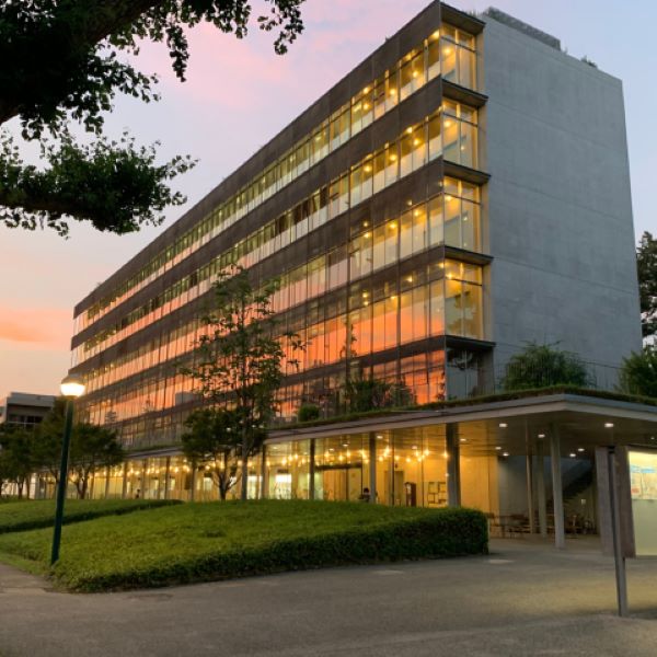 �i�C�g���w��