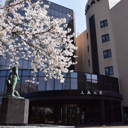 �I�[�v���L�����p�X<br>�i���ۃr�W�l�X�w�ȁA�Ō�w�ȁA��w�@�j