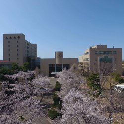 �I�[�v���L�����p�X<br>�i�X�|�[�c���N�}�l�W�����g�w�ȁj