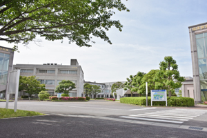 Web�I�[�v���L�����p�X���[�r�[