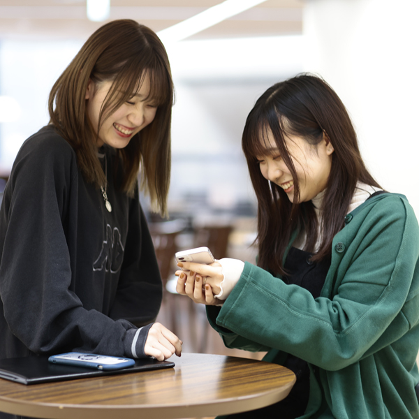 WEB�I�[�v���L�����p�X