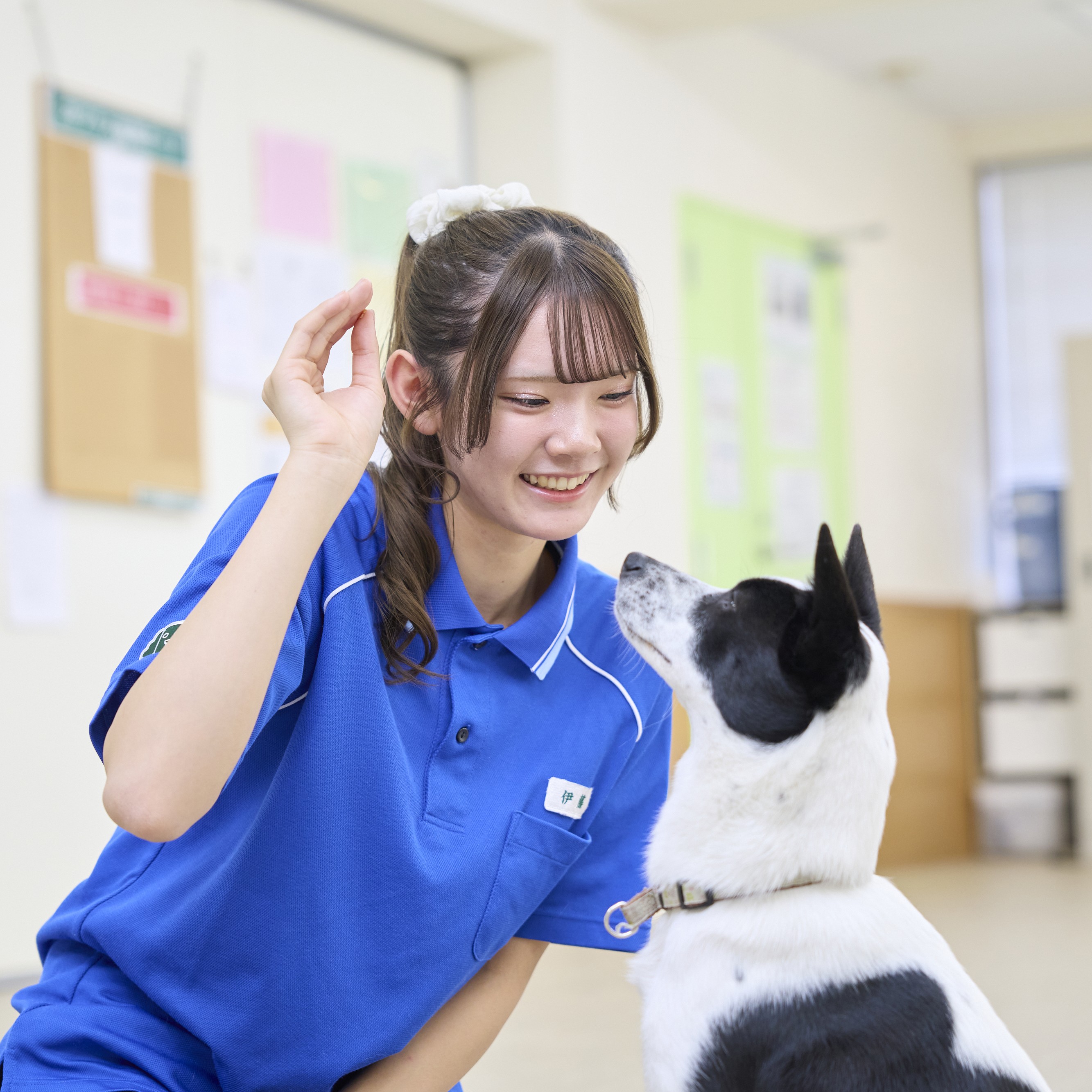 �w�Z������i�I�񂾊w�Ȃ�̌��ł�����j