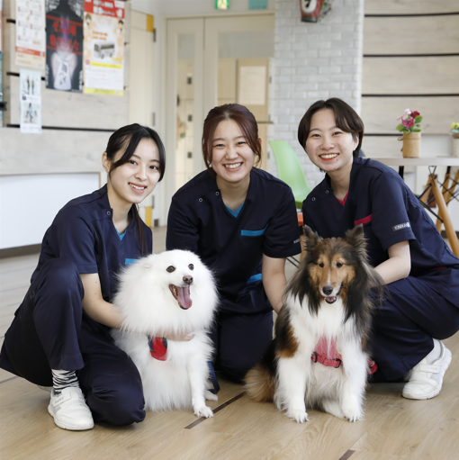 ���āA���āA�����āA�y�����̌��I�I�[�v���L�����p�X