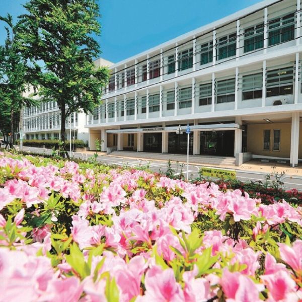 ����������y��Õی��w�� �Ō�w�ȁz