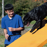 �I�[�v���L�����p�X�i�h�b�O�g���[�i�[���A�j�}���P�A�w�ȁj