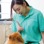 �I�[�v���L�����p�X�i�y�b�g�����w�ȁj