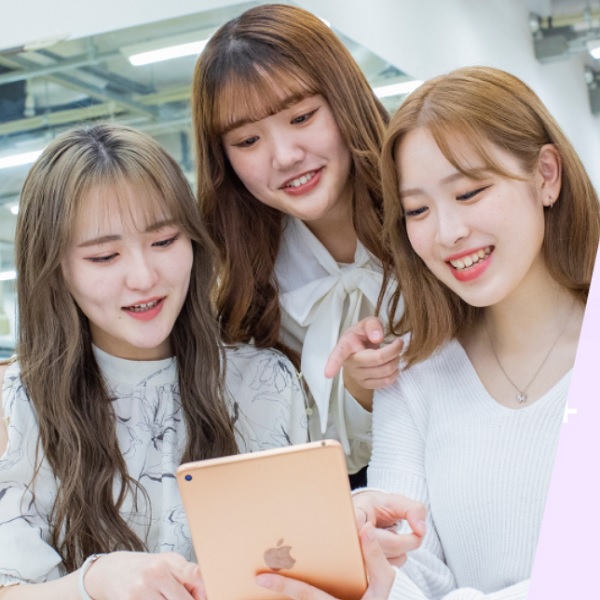 WEB�ʑ��k��