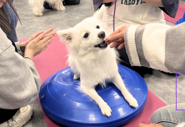 �������w�Ö@�X�y�V�����I�����̃��n�r���ɂ��Ēm�낤�I