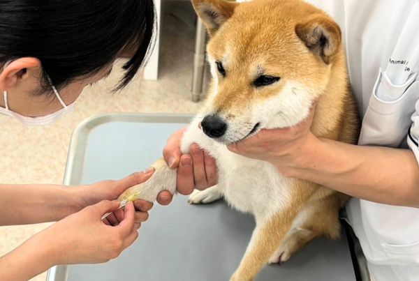 ���t��������킩�铮�������̑̒��Ǘ����w�ڂ��I