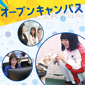 �I�[�v���L�����p�X