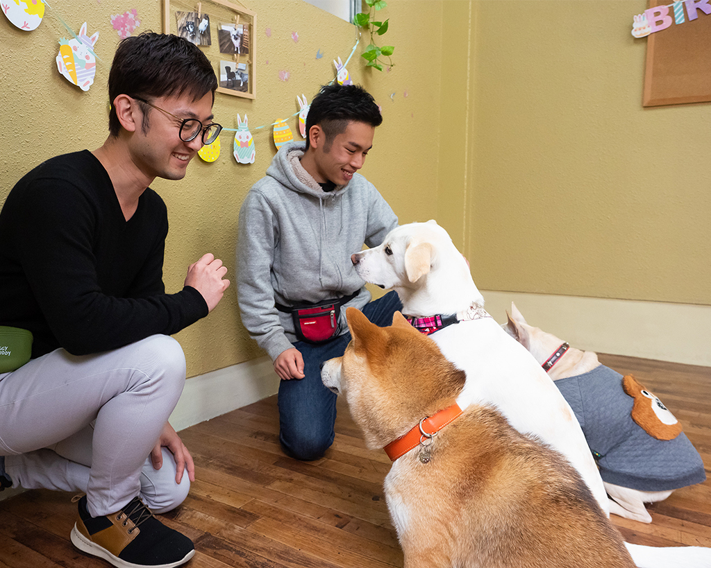 �h�b�O�g���[�i�[�̌����ƒ댢��