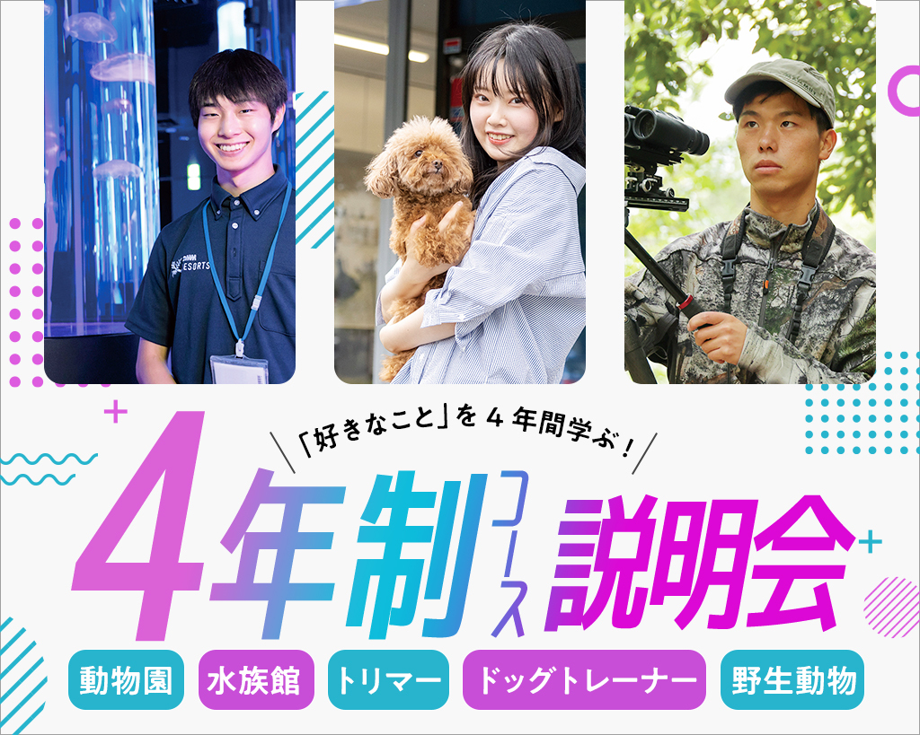 4�N���R�[�X������